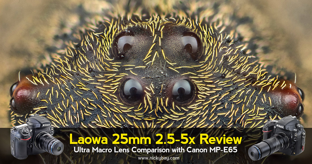 Inleg de eerste Vlek Laowa 25mm f/2.8 2.5-5X Review: Ultra Macro Lens Comparison with Canon  MPE65 - Macro Photography by Nicky Bay