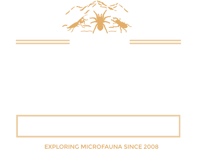 Macro Photography by Nicky Bay