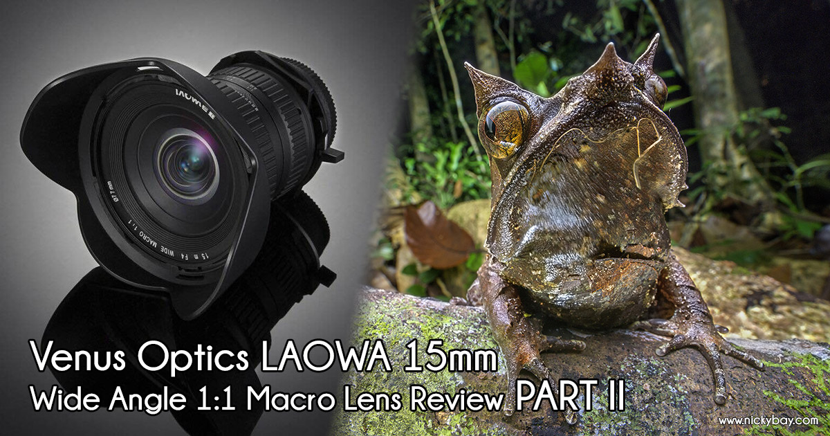 Part II Review of Venus LAOWA 15mm Wide Angle Macro Lens - Macro